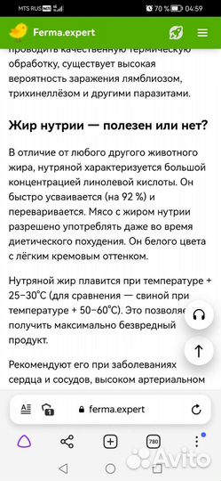 Мясо нутрии