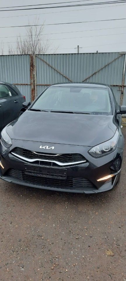 Kia Ceed: фото владельца