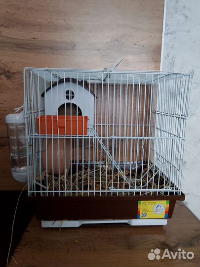 Хомяк с клеткой