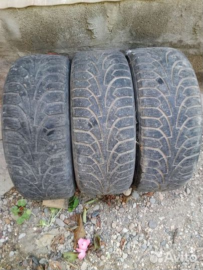 Nordman WR 195/55 R15