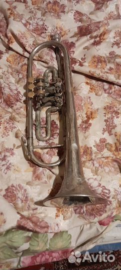 Духовой инструмент труба