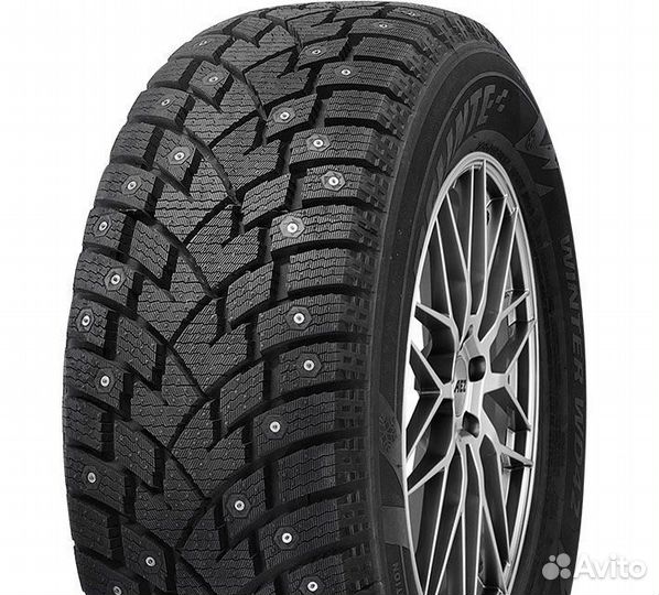 Delinte Winter WD42 275/40 R20 106T