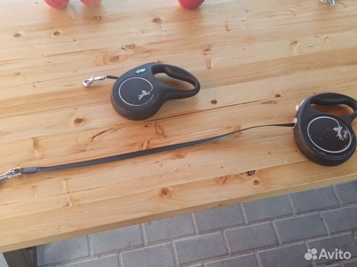 Поводок для собак