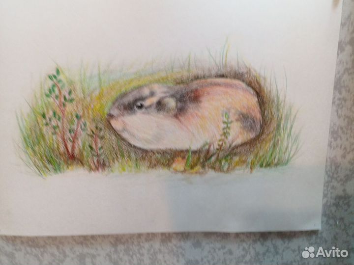 Обучение рисованию