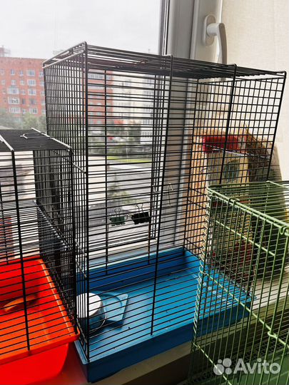 Клетки для грызунов