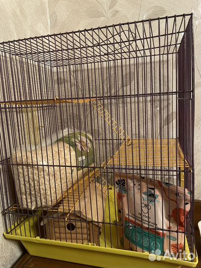 Клетка для грызунов