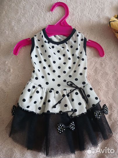 Одежда для собак мелких пород