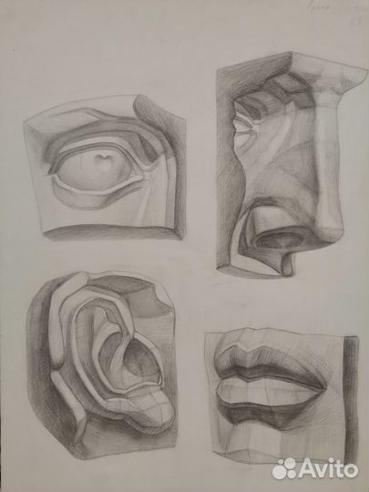 Уроки рисунка, живописи, скульптуры