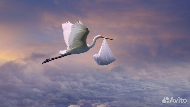 Гадание по фото на количество детей