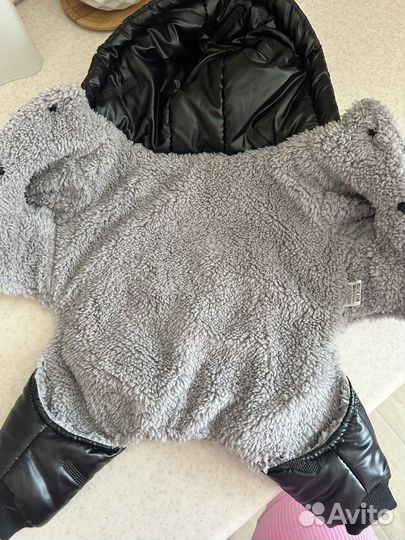 Одежда для собак