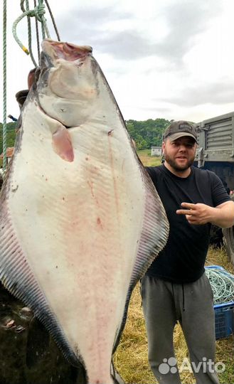 Морская трофейная рыбалка на Итурупе