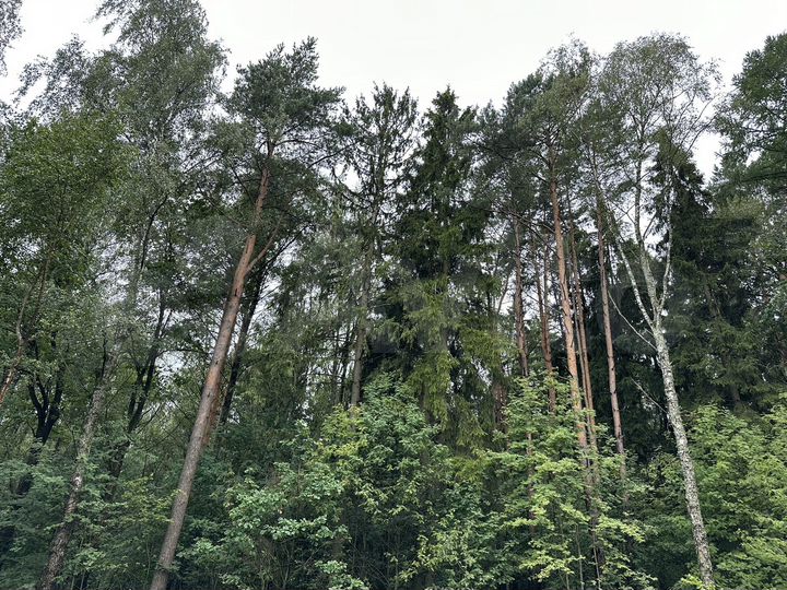 Участок 8,5 сот. (ИЖС)