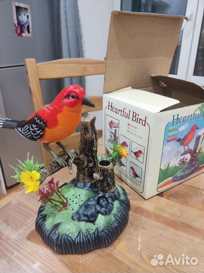 Птичка музыкальная