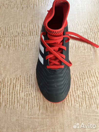 Сороконожки adidas predator