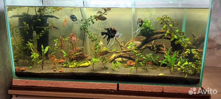 Аквариум