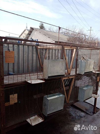 Клетки для кроликов б/у