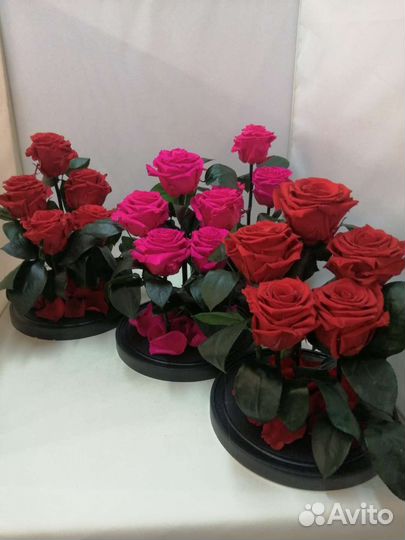 Цветы оптом