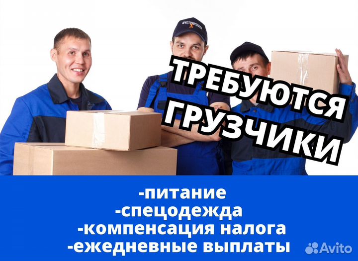 Грузчик ежедневная оплата. Код:gf777