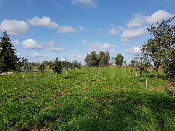 Участок 24 сот. (ИЖС)