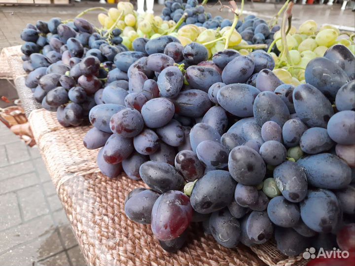 Саженцы Персика, Винограда, Яблонь, Груш