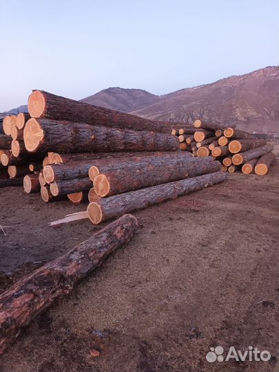 Продам лес кругляк лиственница