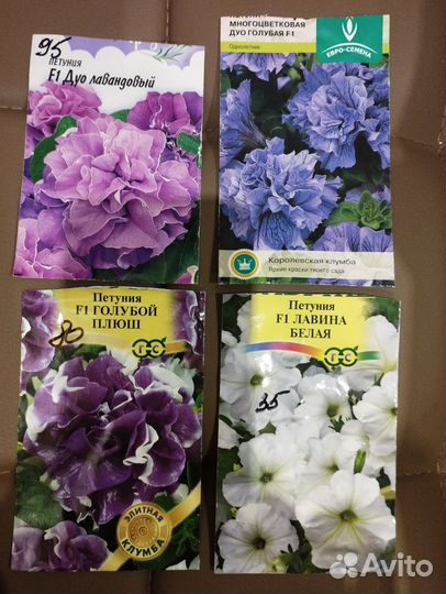 Рассада цветов