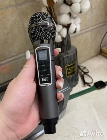 Караоке система колонка sdrd SD-306 plus