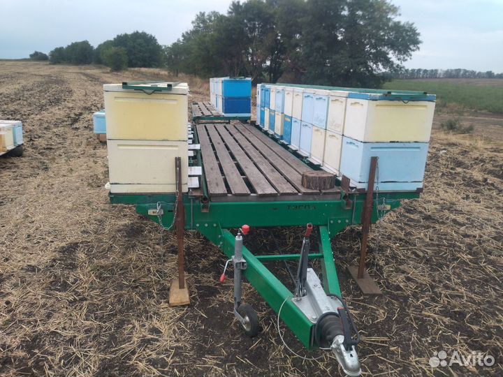 Пчелоприцеп легковой