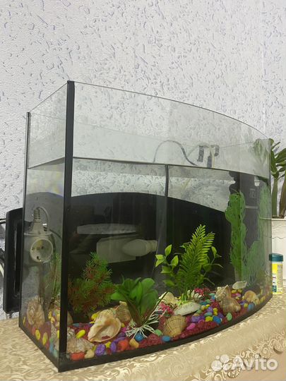 Аквариум
