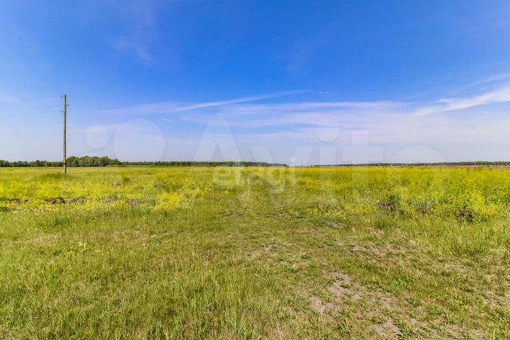 Участок 15 сот. (ИЖС)