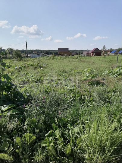 Участок 10 сот. (ИЖС)