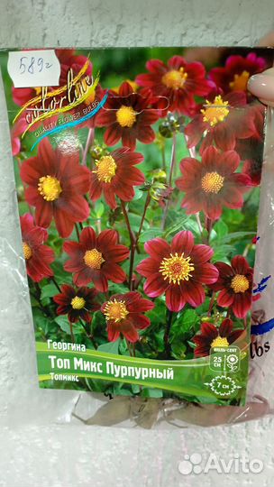 Продам сортовые клубневые георгины