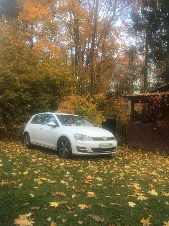 Volkswagen Golf: фото владельца