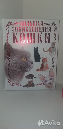 Детские энциклопедии