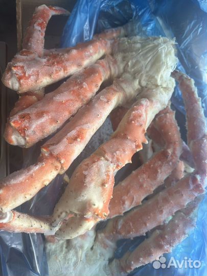 Рыба морепродукты икра