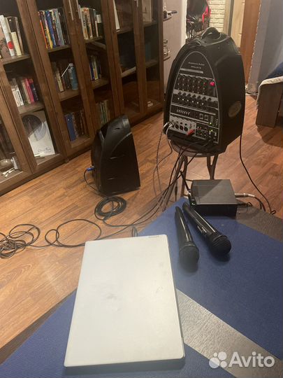 Акустическая система American Audio PPA-210