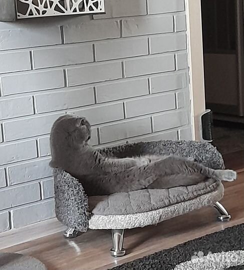 Лежанка диван для кошек и средних животных
