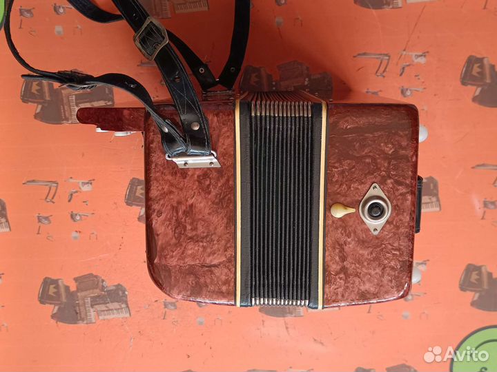 Гармонь Беларусь 2рег новая