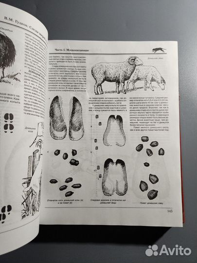 Гудков Следы зверей и птиц