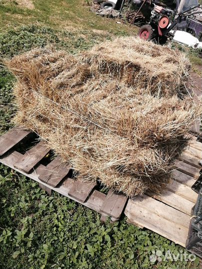 Сено в тюках