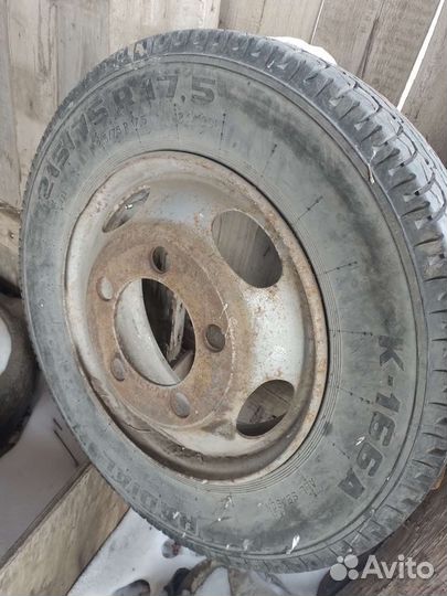 Accelera Accelera 17.5/65 R17C