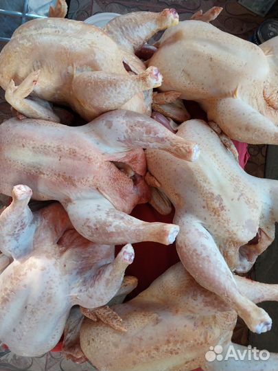 Продукты питания