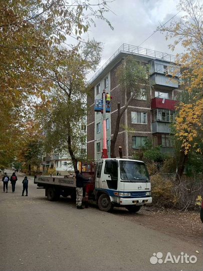 Опиловка деревье, спилить дерево, спилить ветку