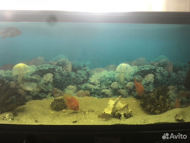 Аквариум с тумбой 400 литров