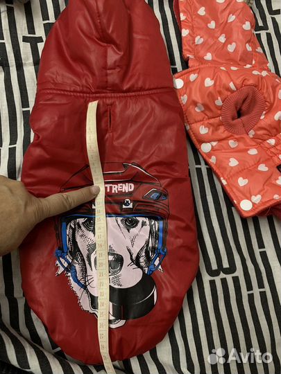 Одежда для маленьких собак