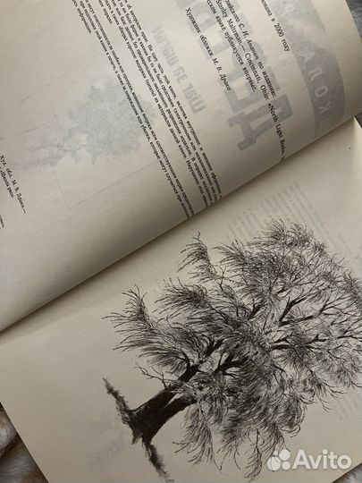 Книга по рисунку