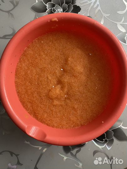 Икра ряпушки