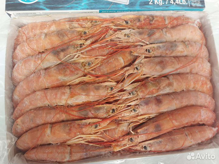 Лангустины креветки