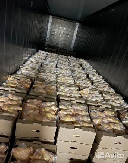 Тушки мясо бройлеров