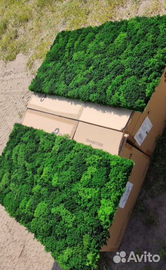 Панели из мха Стабилизированный мох 25х50см